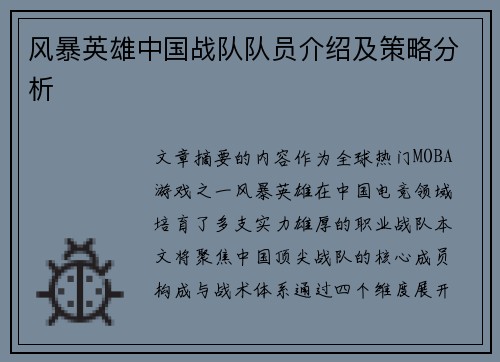 风暴英雄中国战队队员介绍及策略分析